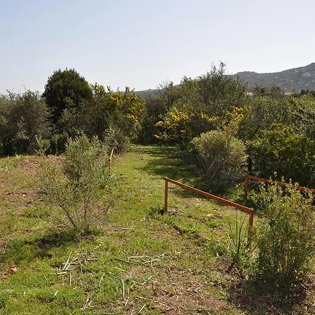Albaluccia Bed & Breakfast