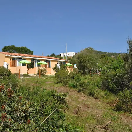 Albaluccia * Palau