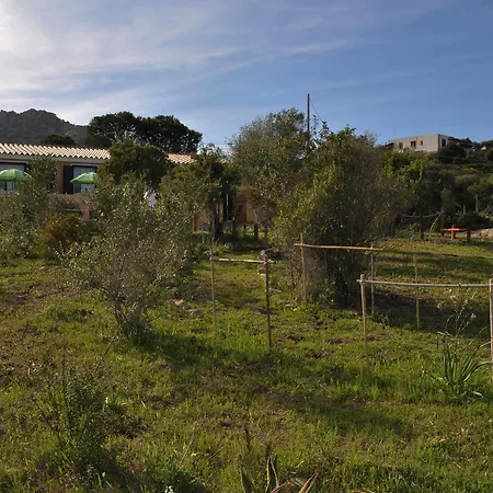 Albaluccia Bed & Breakfast *