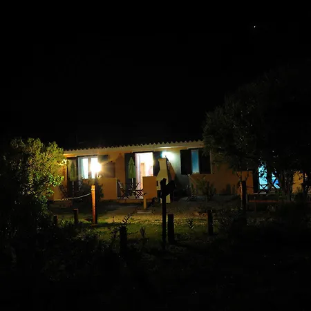 Albaluccia Palau